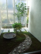 坪庭 水鉢 玉石 月
