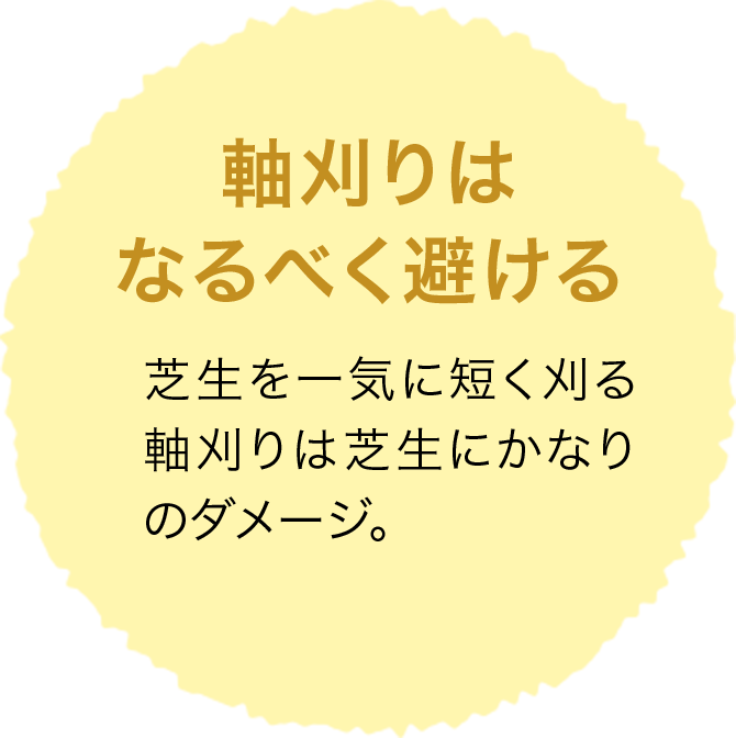 軸刈りはなるべく避ける