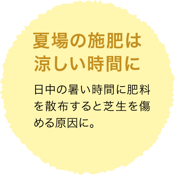 夏場の施肥は涼しい時間に