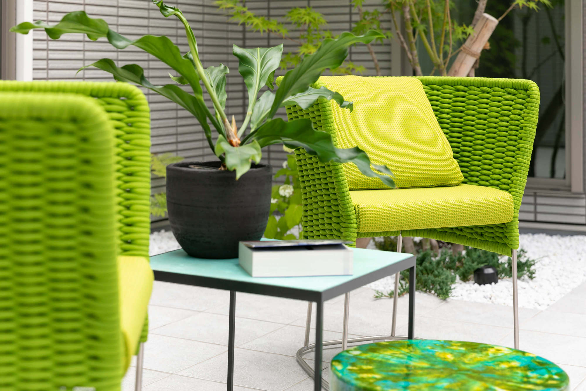AMI　アミ 　PAOLA LENTI