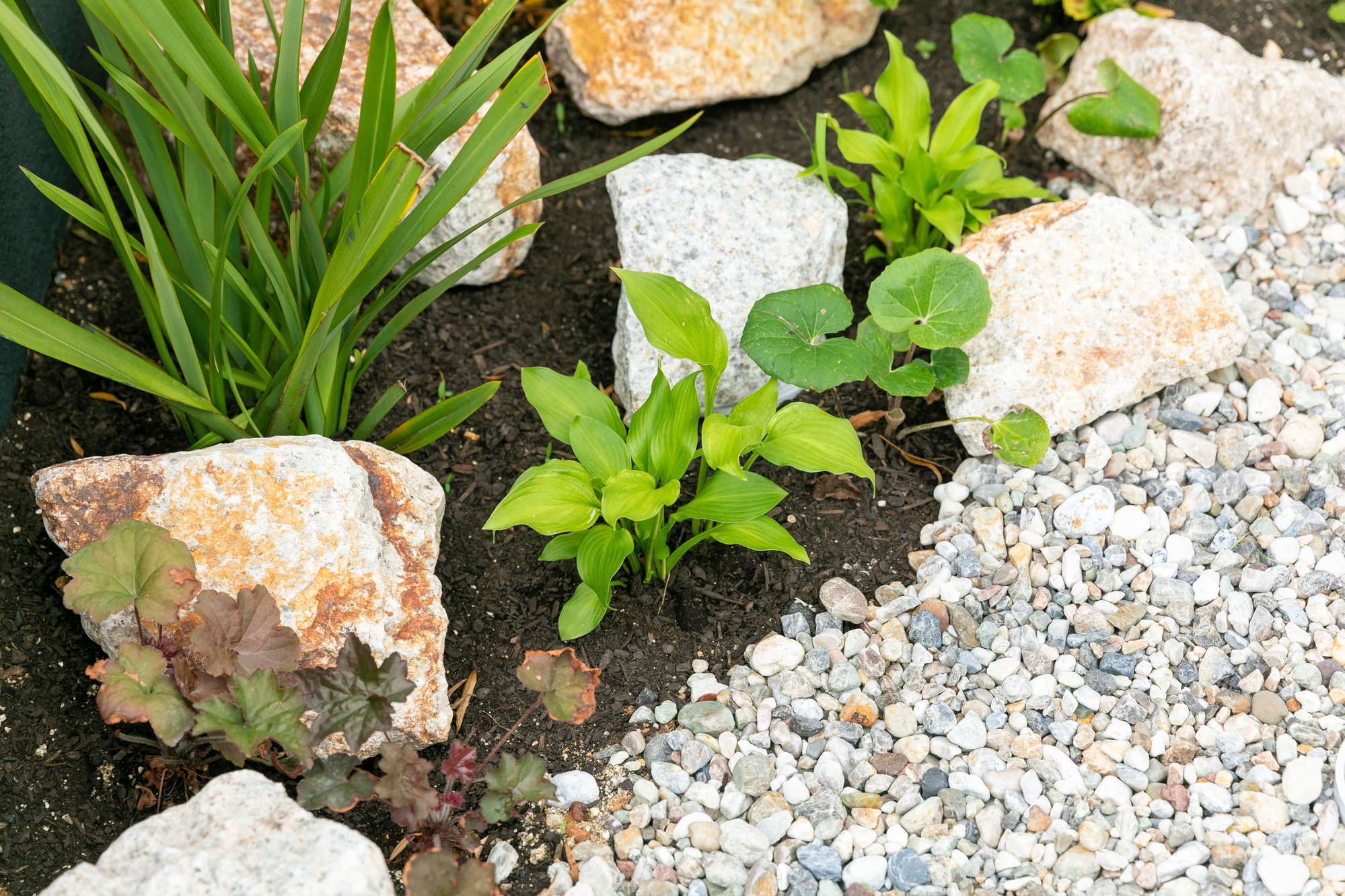 下草 植栽 和モダン ガーデン 自然石 石庭