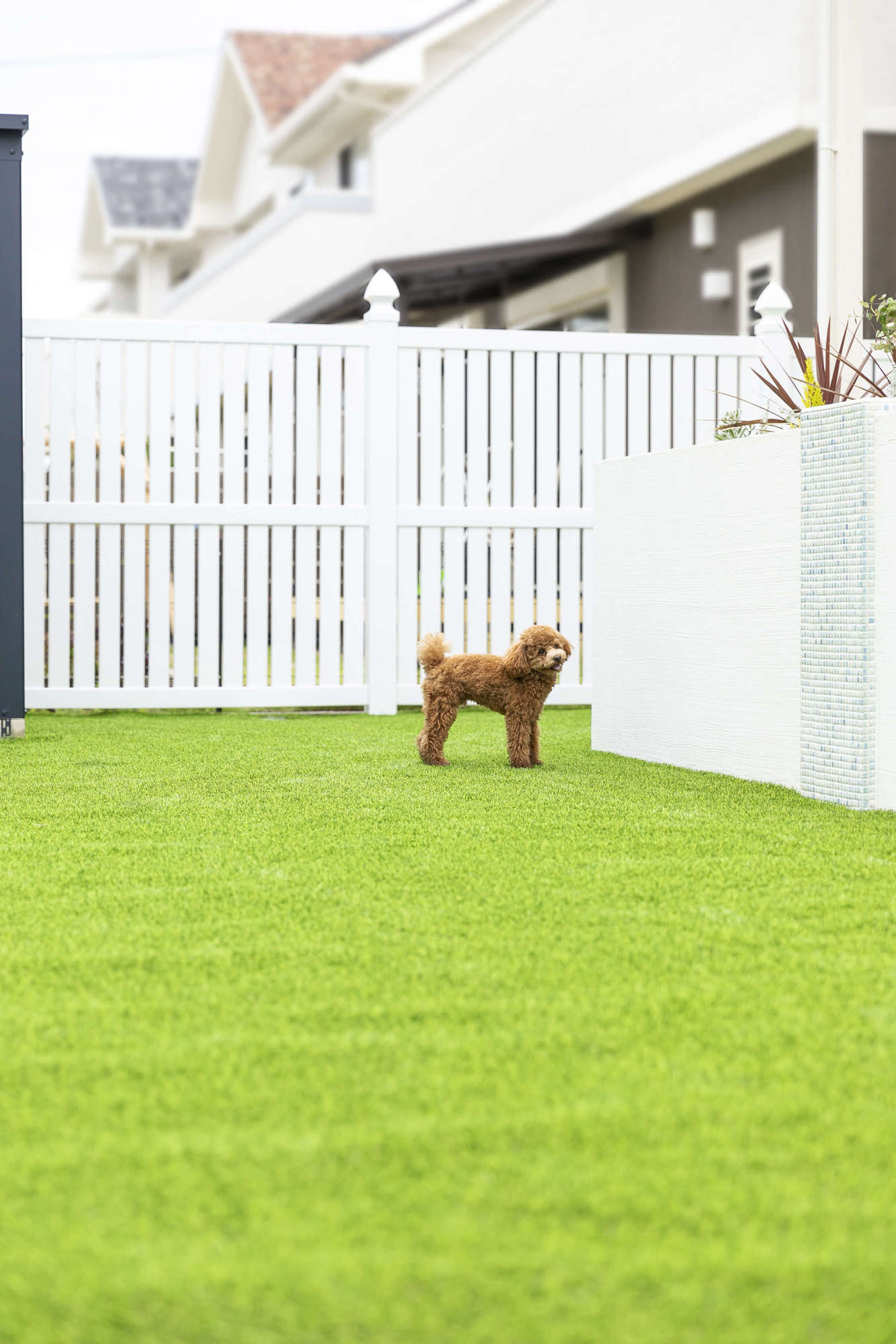 庭 ガーデン テラス 人工芝 犬 ドッグラン