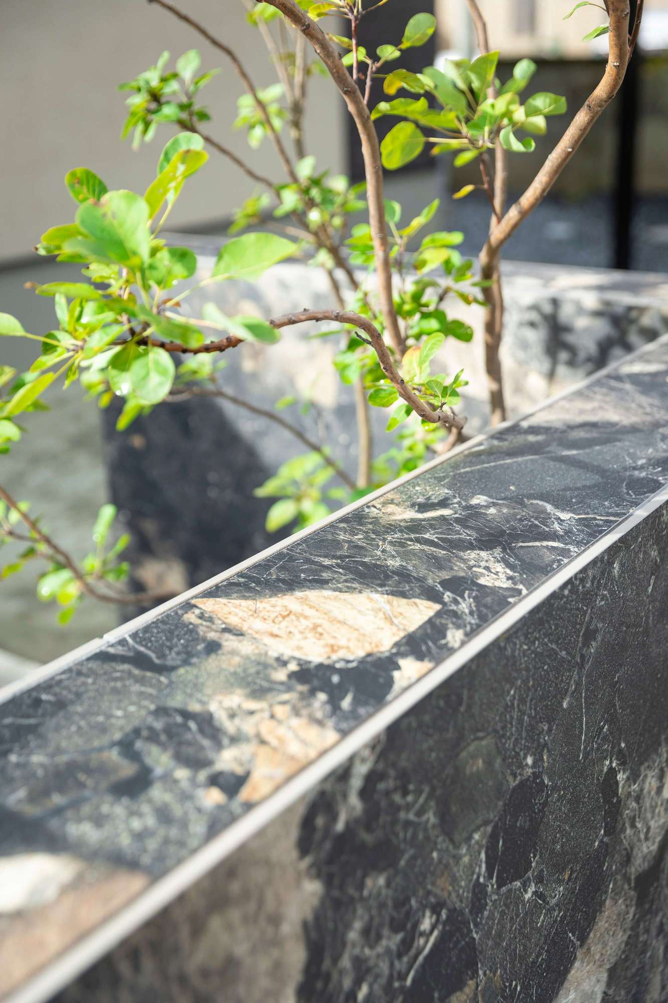 愛知県 名古屋市 一宮市 新築外構 おしゃれ かっこいい ドライガーデン タイル 高級感 住友林業