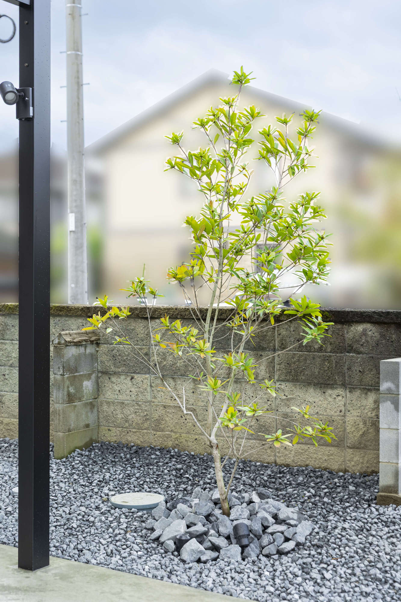 愛知県 名古屋市 一宮市 新築外構 おしゃれ かっこいい ドライガーデン タイル 高級感 住友林業 ウッドデッキ 芝生