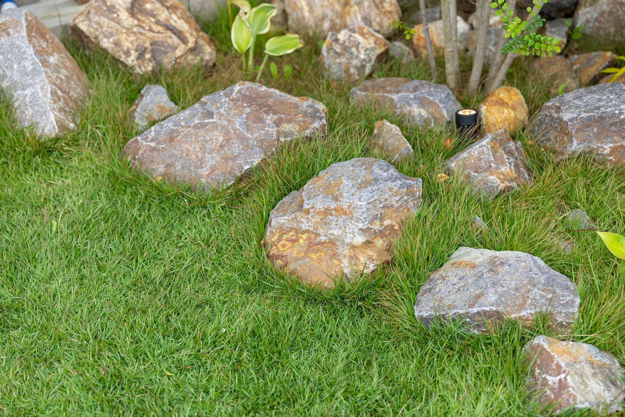 住友林業 新築外構 エクステリア 外構 デザイン ガーデンデザイン おしゃれ かっこいい ナチュラルモダン カーポート カーゲート 愛知県 名古屋市