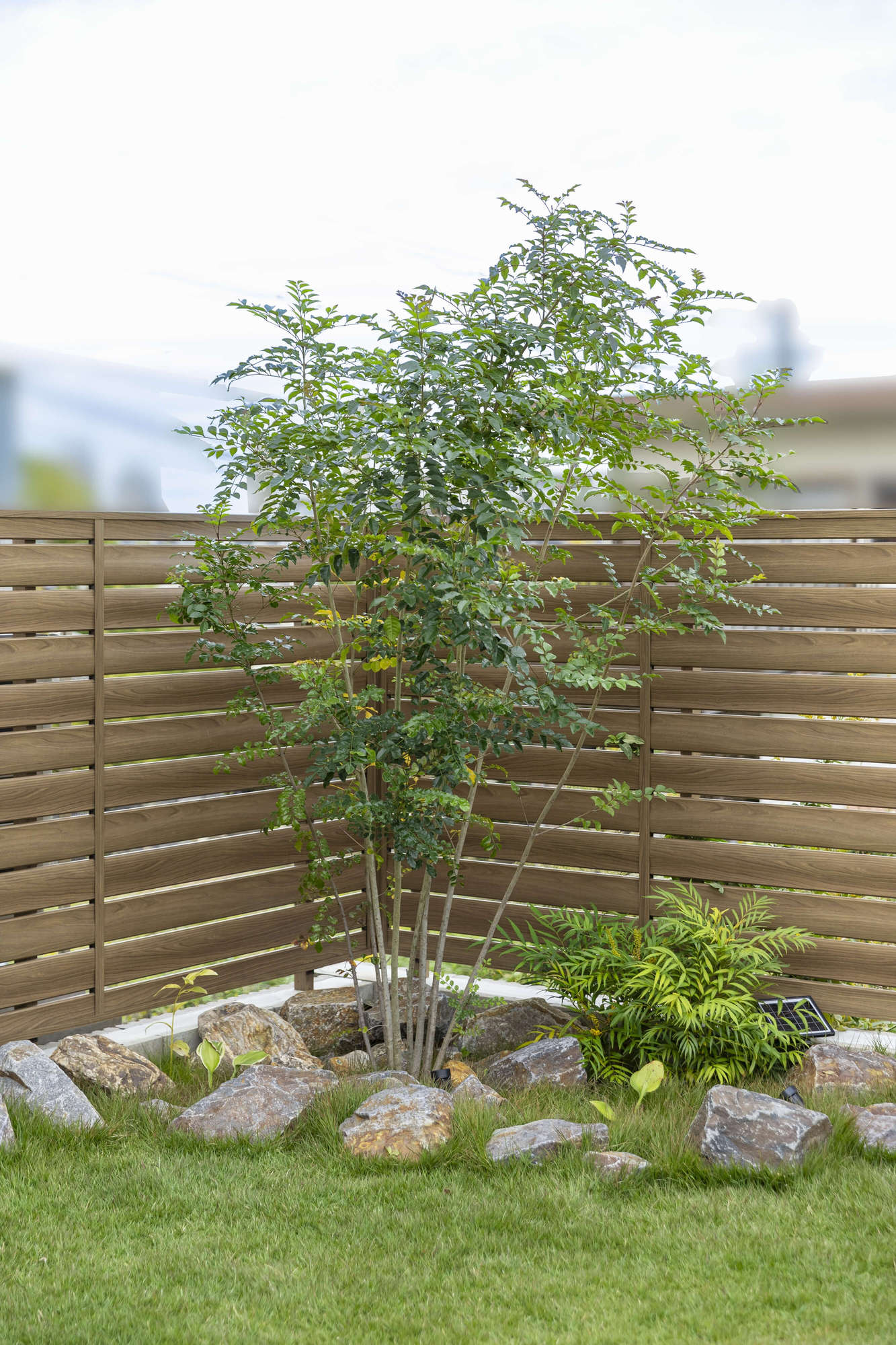 住友林業 新築外構 エクステリア 外構 デザイン ガーデンデザイン おしゃれ かっこいい ナチュラルモダン カーポート カーゲート 愛知県 名古屋市 芝生 ウッドデッキ