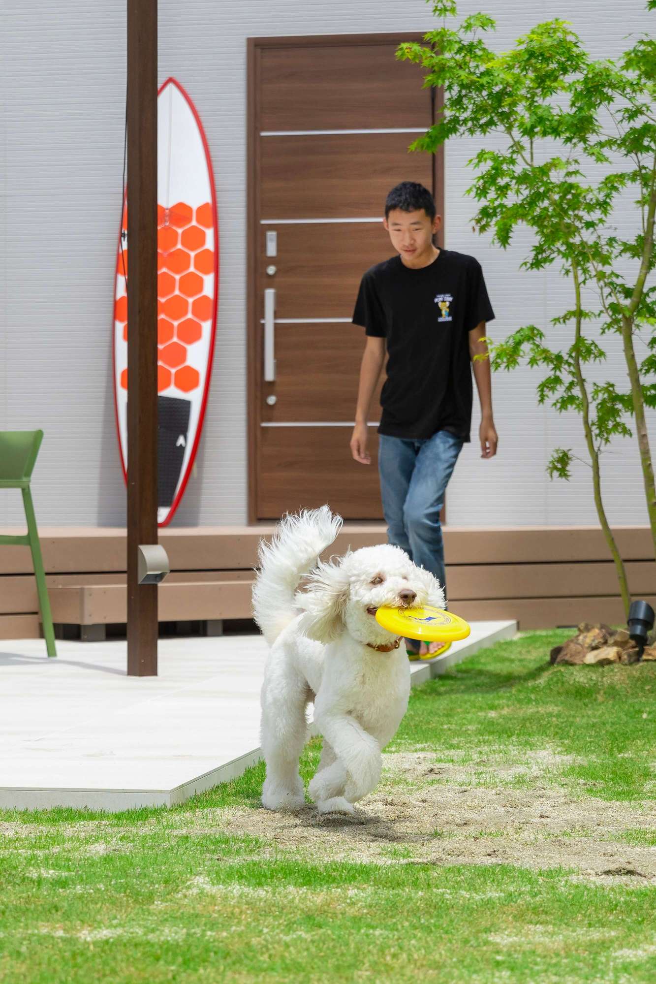 愛知県 名古屋市 南知多 リゾート 別荘 ドッグラン トレーラーハウス コンテナハウス ドッグガーデン ガーデンファニチャー パーゴラ ガーデンデザイン エクステリア