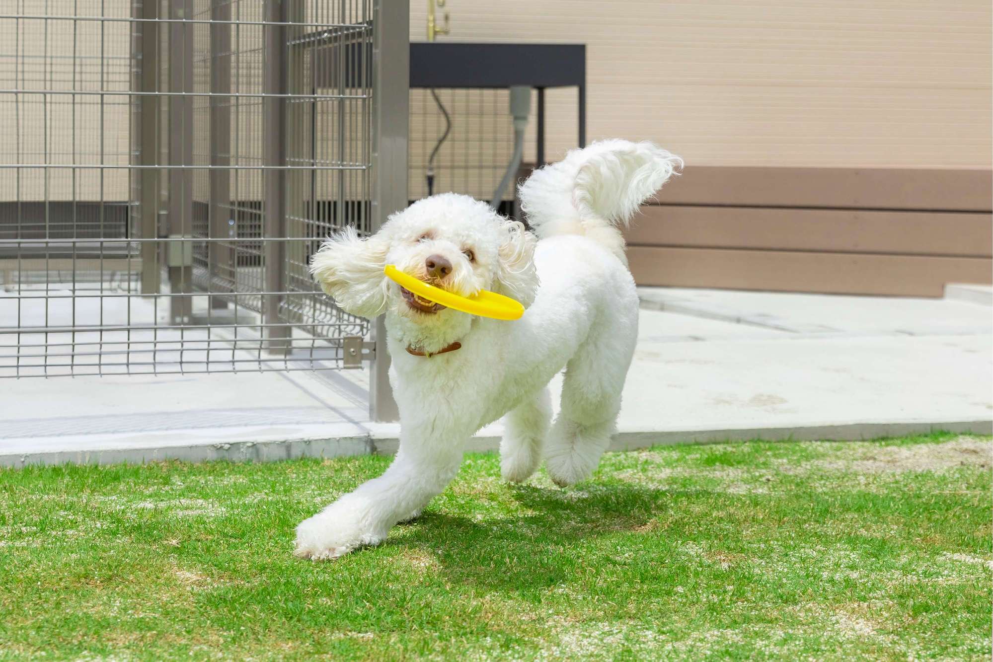 愛知県 名古屋市 南知多 リゾート 別荘 ドッグラン トレーラーハウス コンテナハウス ドッグガーデン ガーデンファニチャー パーゴラ ガーデンデザイン エクステリア