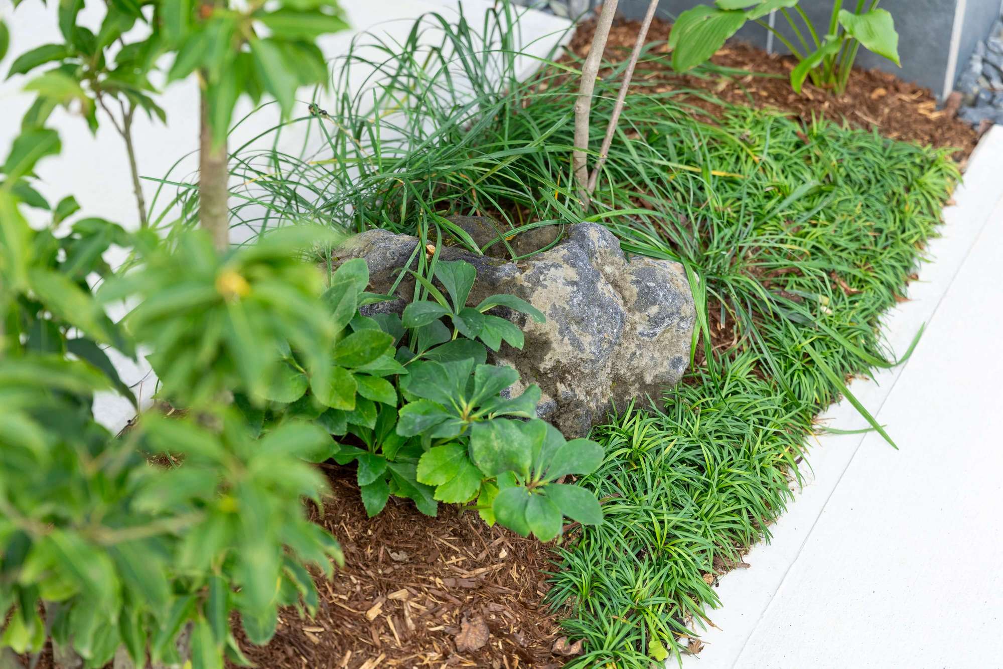 愛知県 名古屋市 新築外構 エクステリアデザイン 住友林業 角地 人工芝 ガーデンデザイン おしゃれ かっこいい モダン 和モダン ナチュラル 植栽